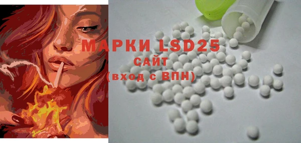 ECSTASY Бородино