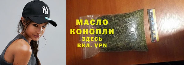 ECSTASY Бородино