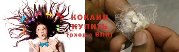 СК Бронницы