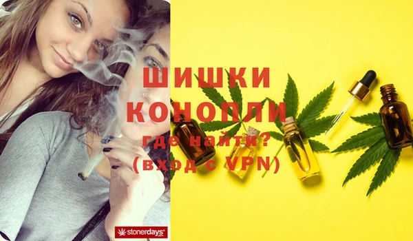 ECSTASY Бородино