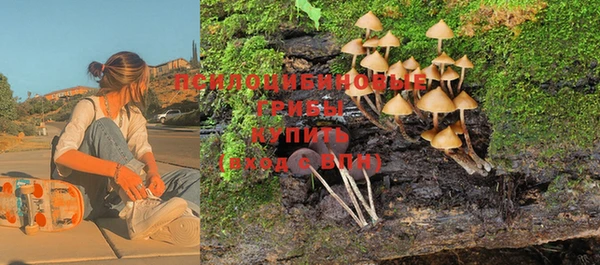 стаф Бугульма