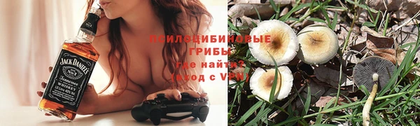 СК Бронницы