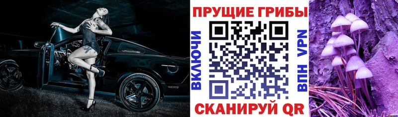 купить  цена  Верхний Тагил  Галлюциногенные грибы ЛСД 